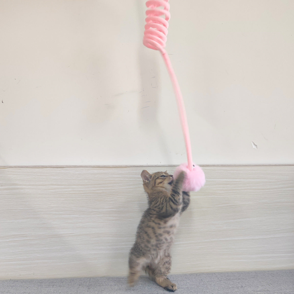 Bounce & Pounce Cat Toy