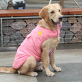 Rain Rover Waterproof Dog Vest