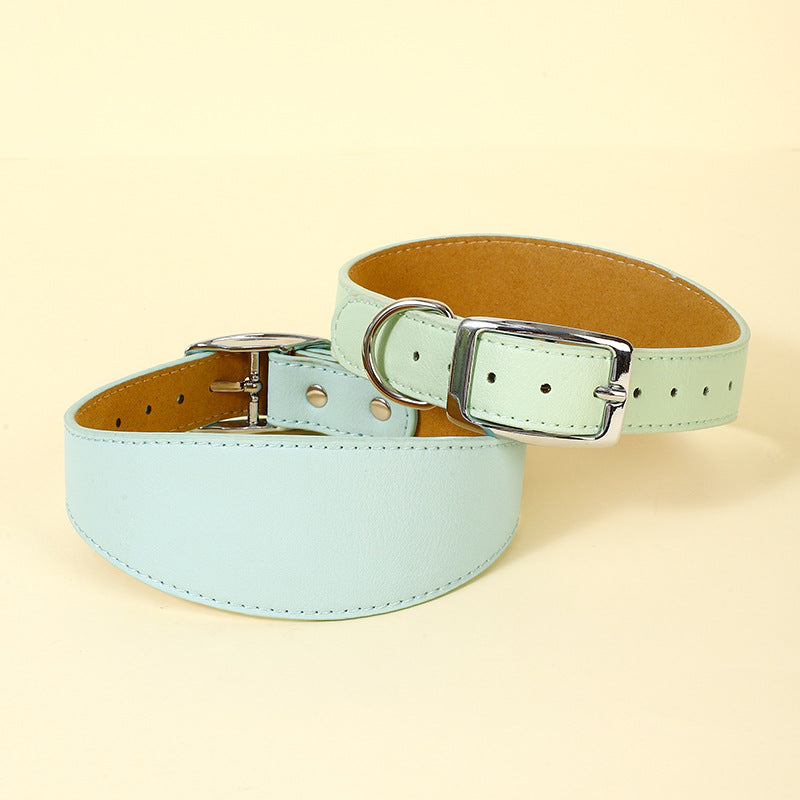 The Everyday Collar