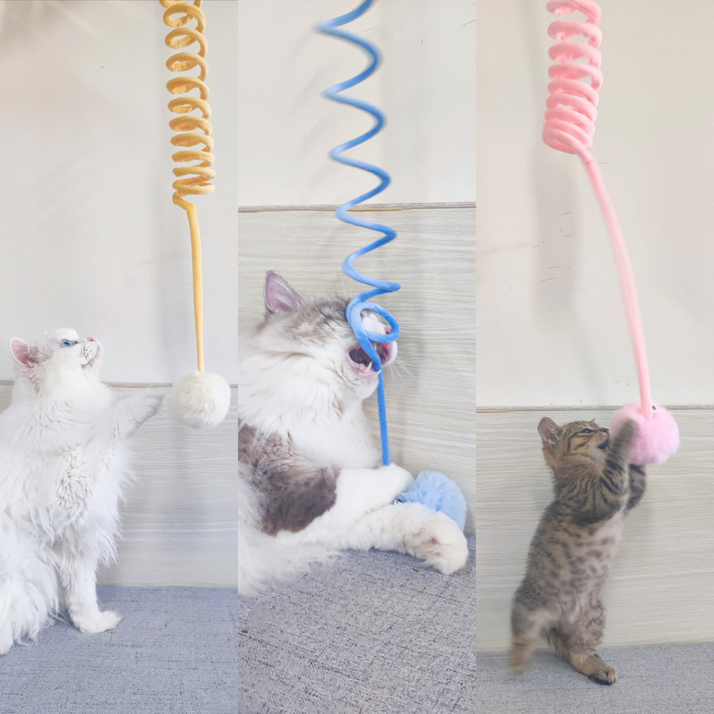 Bounce & Pounce Cat Toy