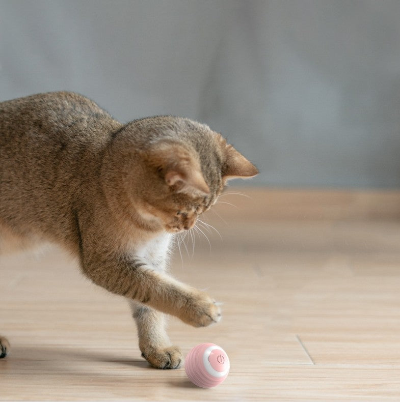 PawPulse Smart Ball