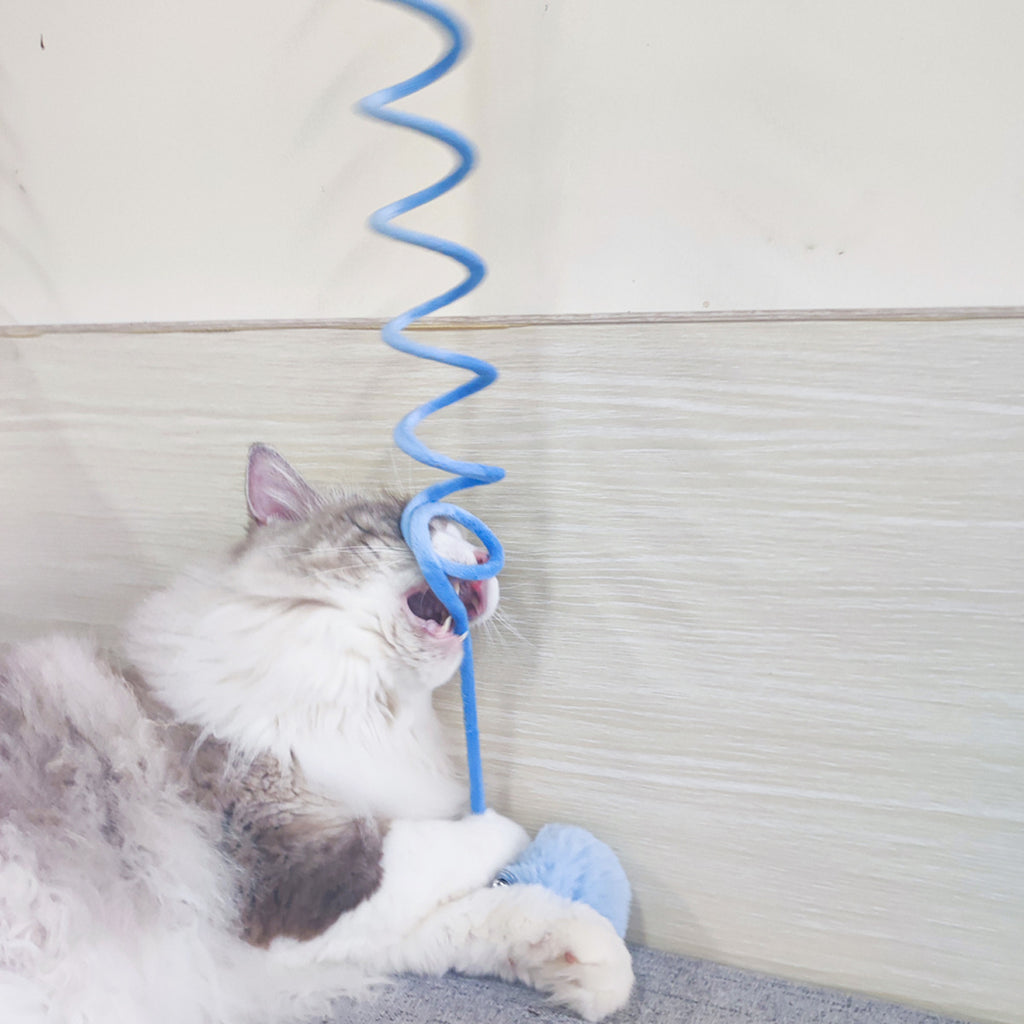 Bounce & Pounce Cat Toy
