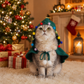 North Pole Cape Collection