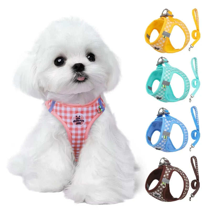 Paws & Picnic Harness Set