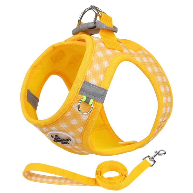 Paws & Picnic Harness Set