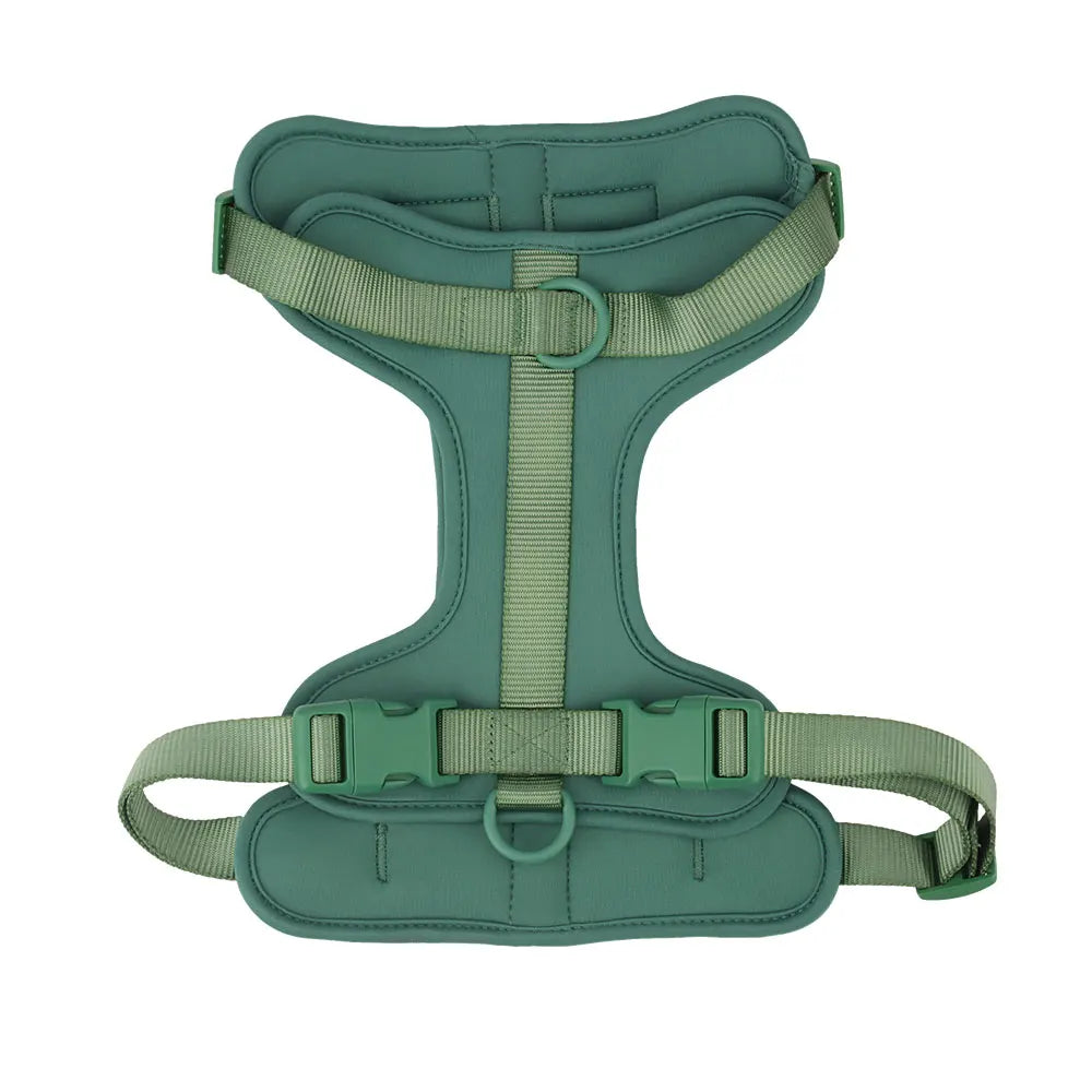 RoamFit Everyday Harness