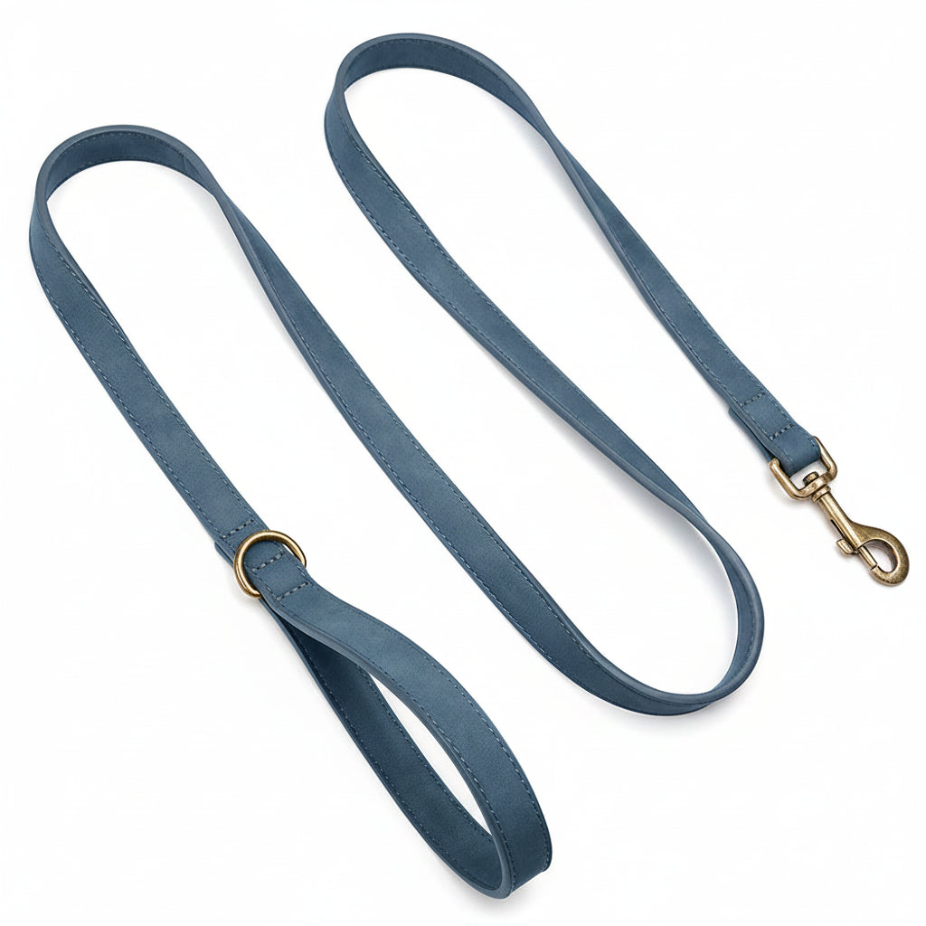 The Everyday Leather Lead