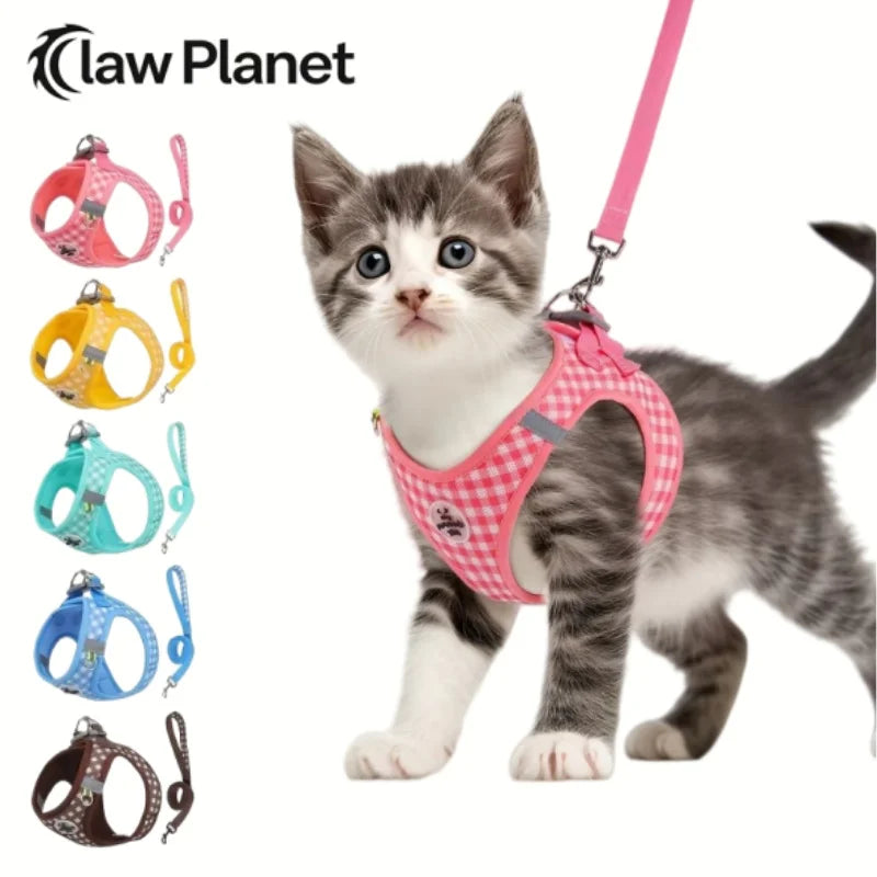 Paws & Picnic Harness Set