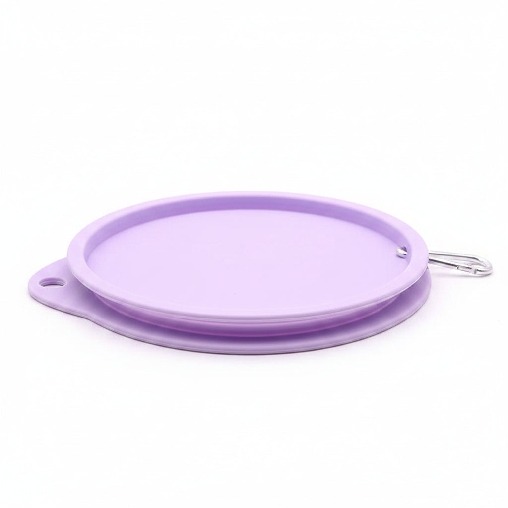 FoldAway Double Travel Bowl