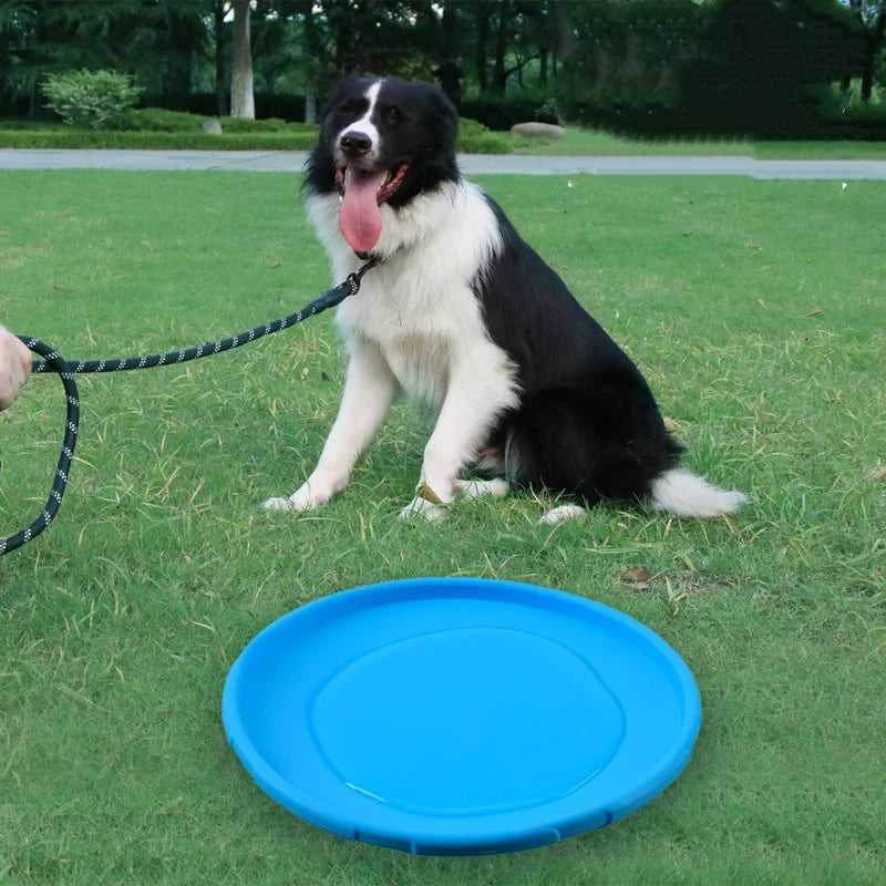 PawLaunch Flex Disc