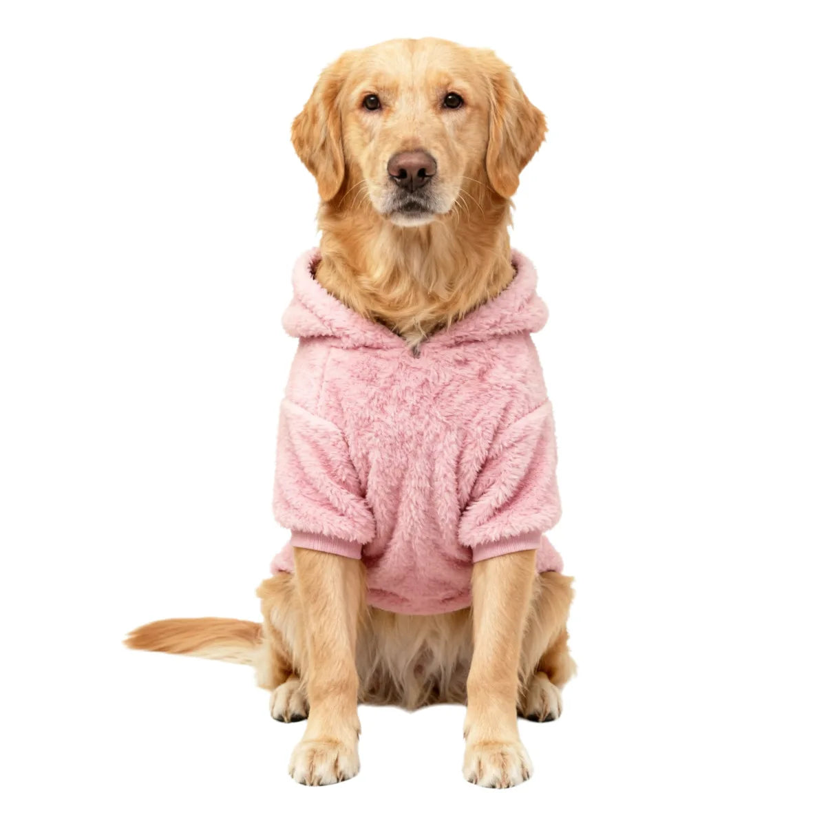 TrailPaws Winter Hoodie
