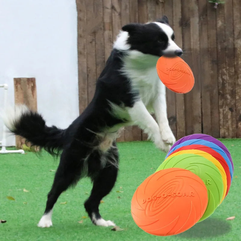 PawLaunch Flex Disc