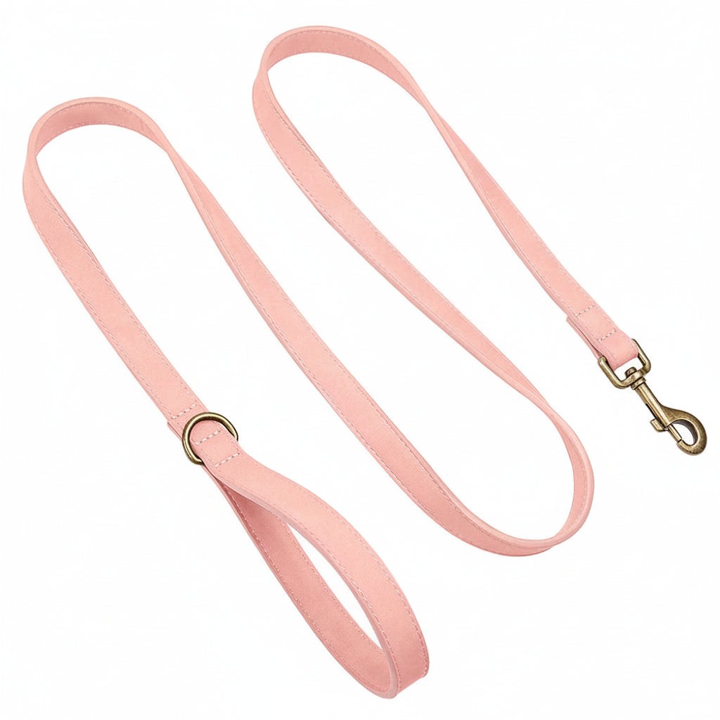 The Everyday Leather Lead