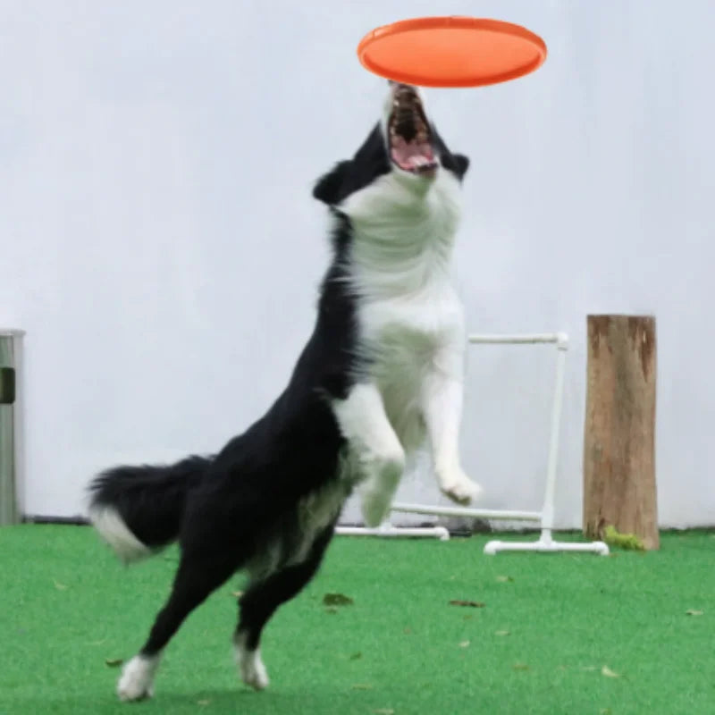 PawLaunch Flex Disc