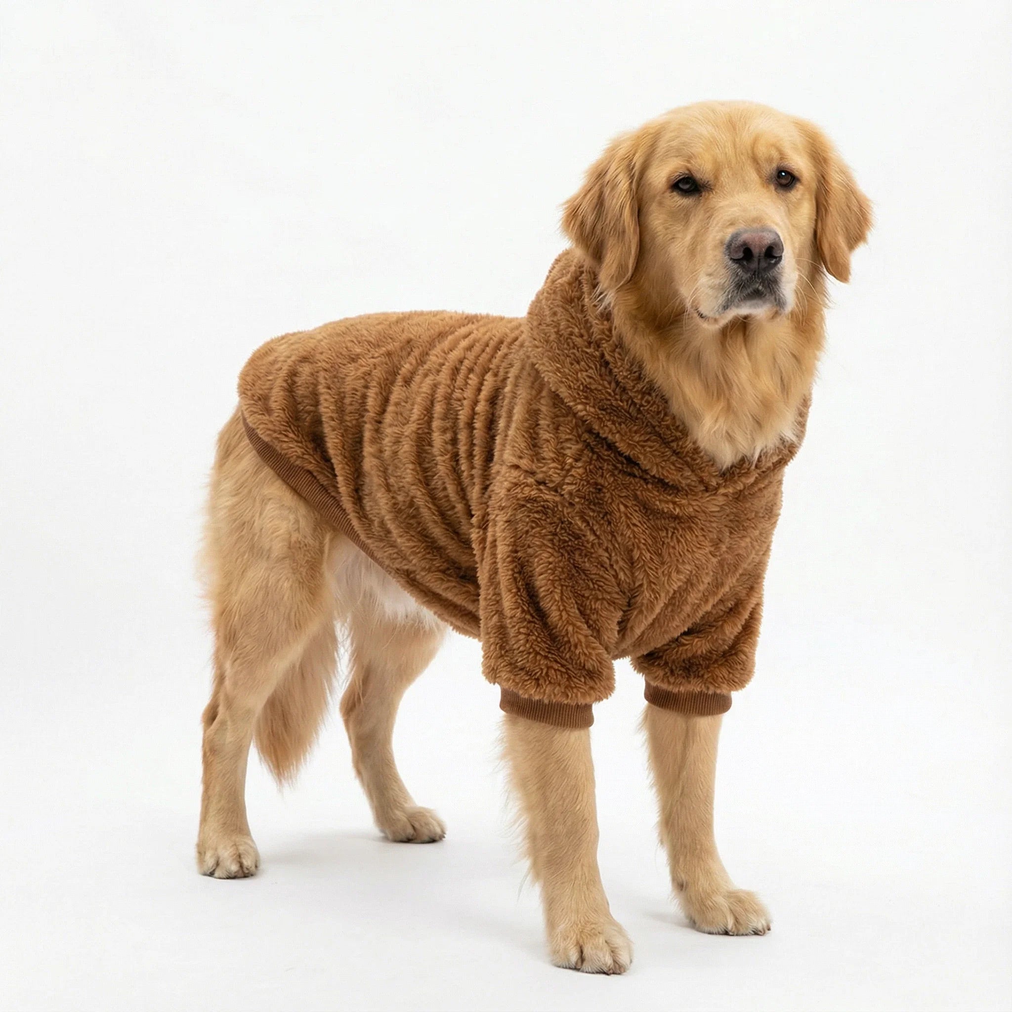 TrailPaws Winter Hoodie