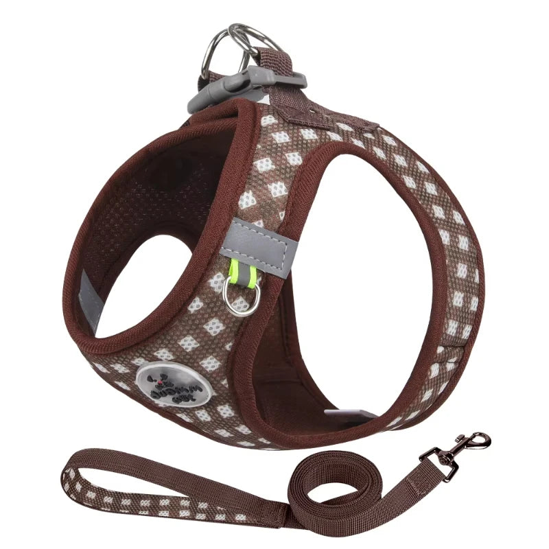 Paws & Picnic Harness Set