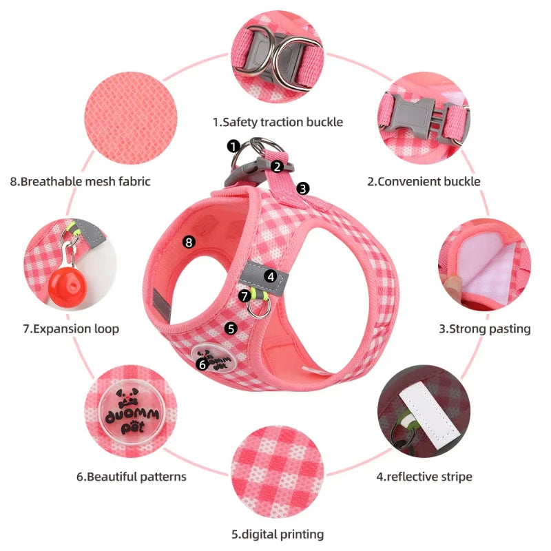 Paws & Picnic Harness Set