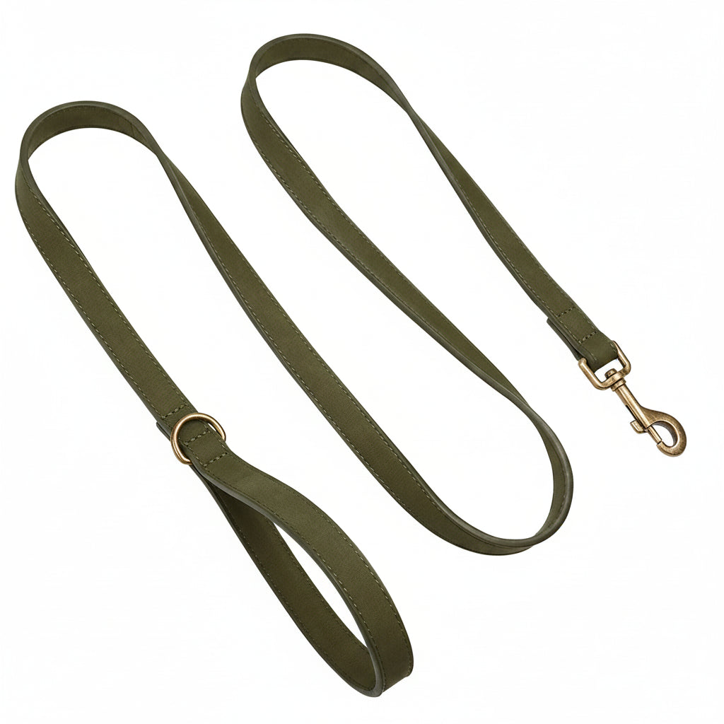 The Everyday Leather Lead