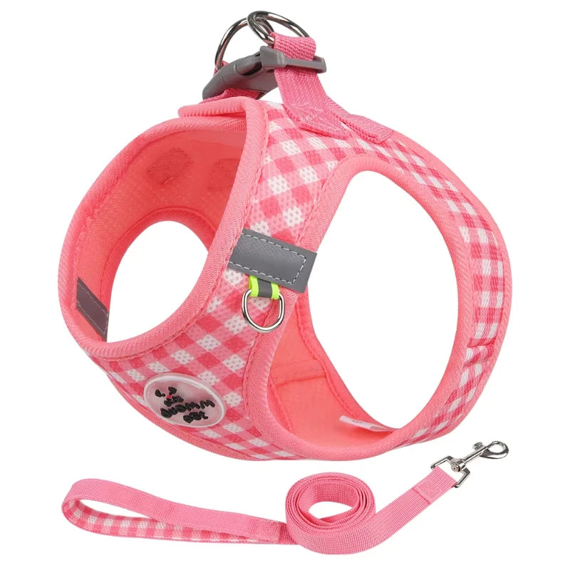 Paws & Picnic Harness Set