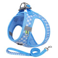 Paws & Picnic Harness Set