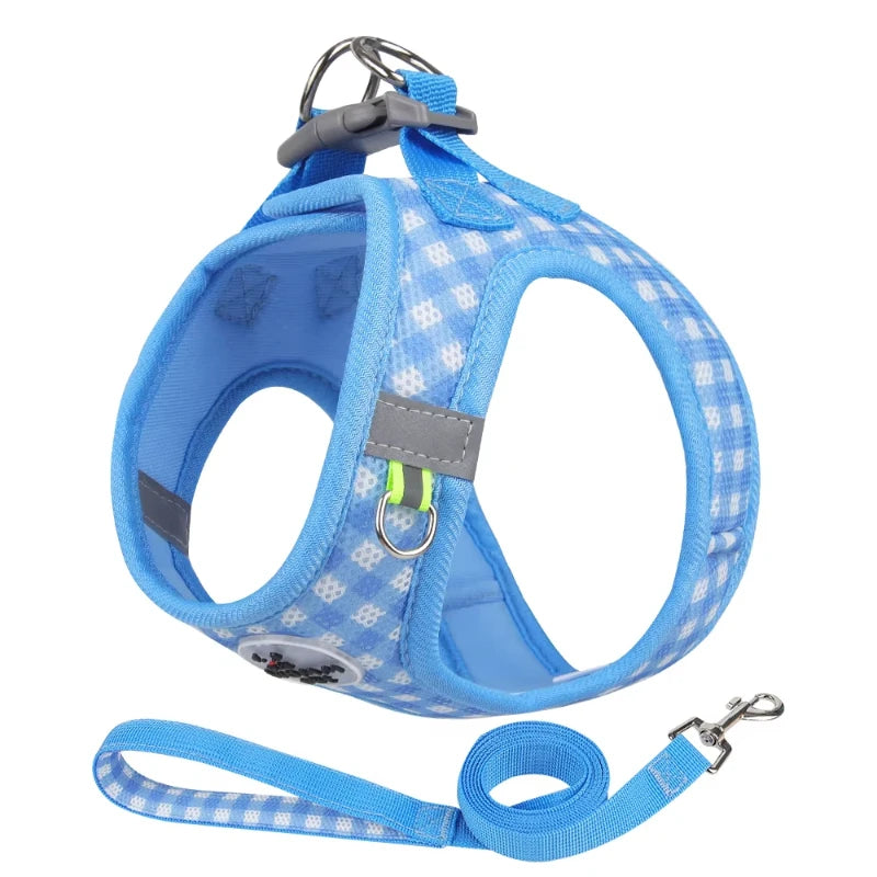 Paws & Picnic Harness Set
