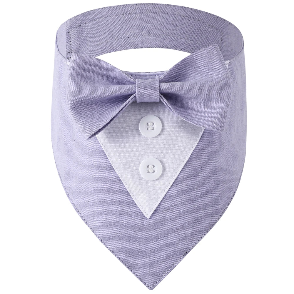 DapperPaw Formal Bandana