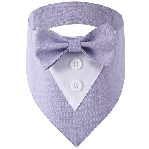 DapperPaw Formal Bandana