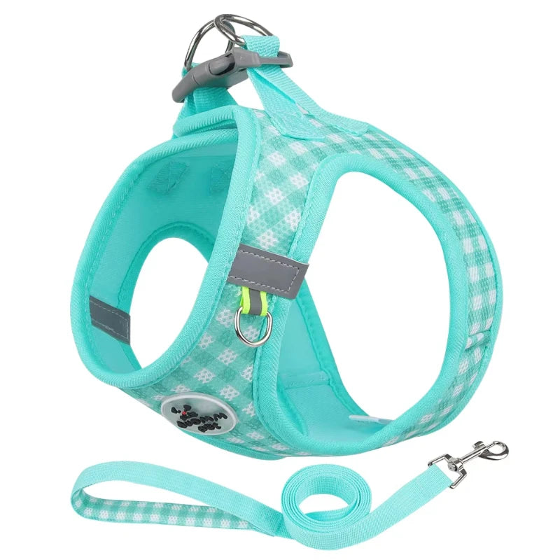 Paws & Picnic Harness Set