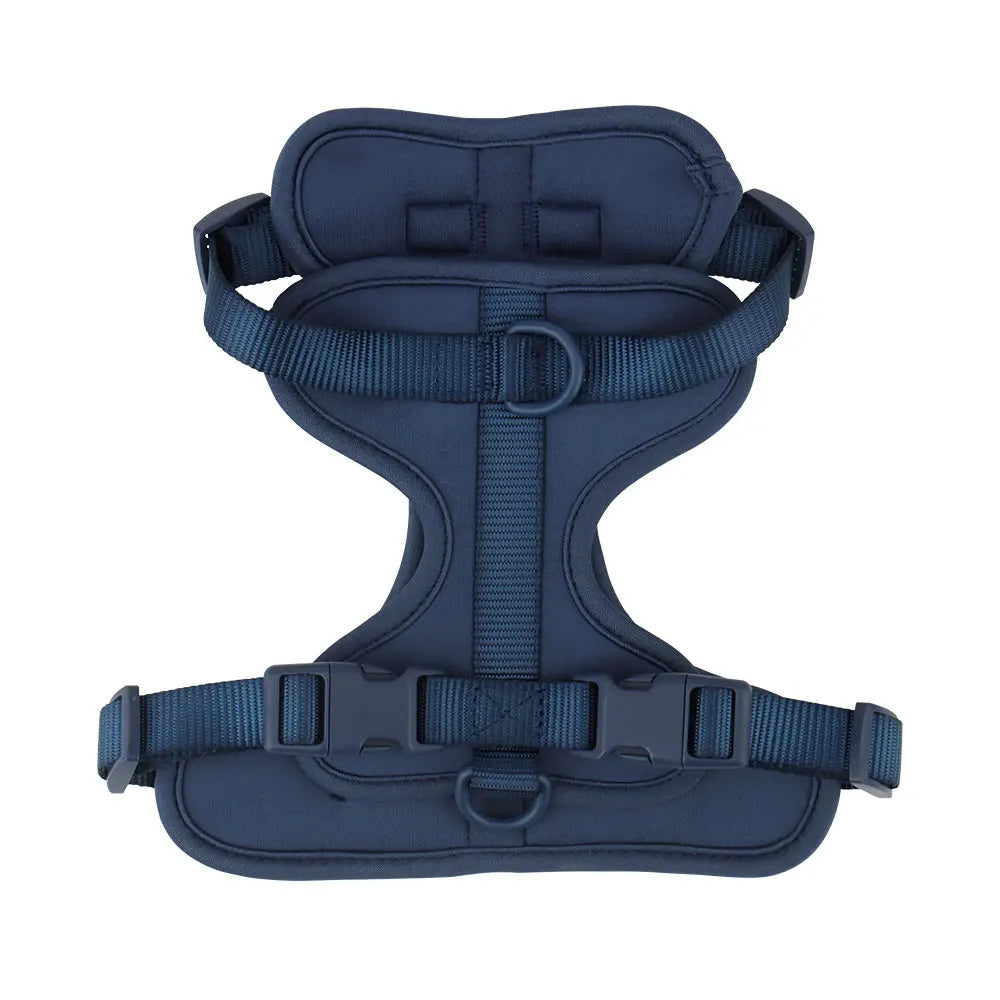RoamFit Everyday Harness