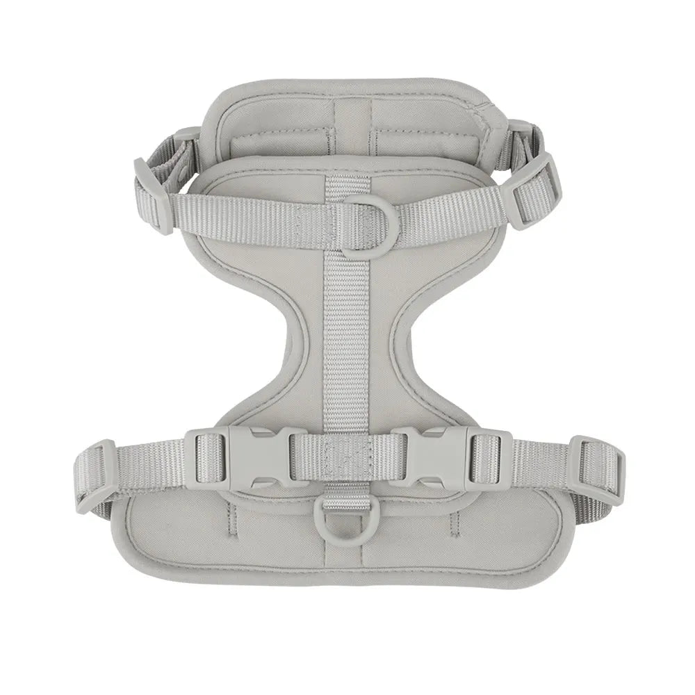 RoamFit Everyday Harness