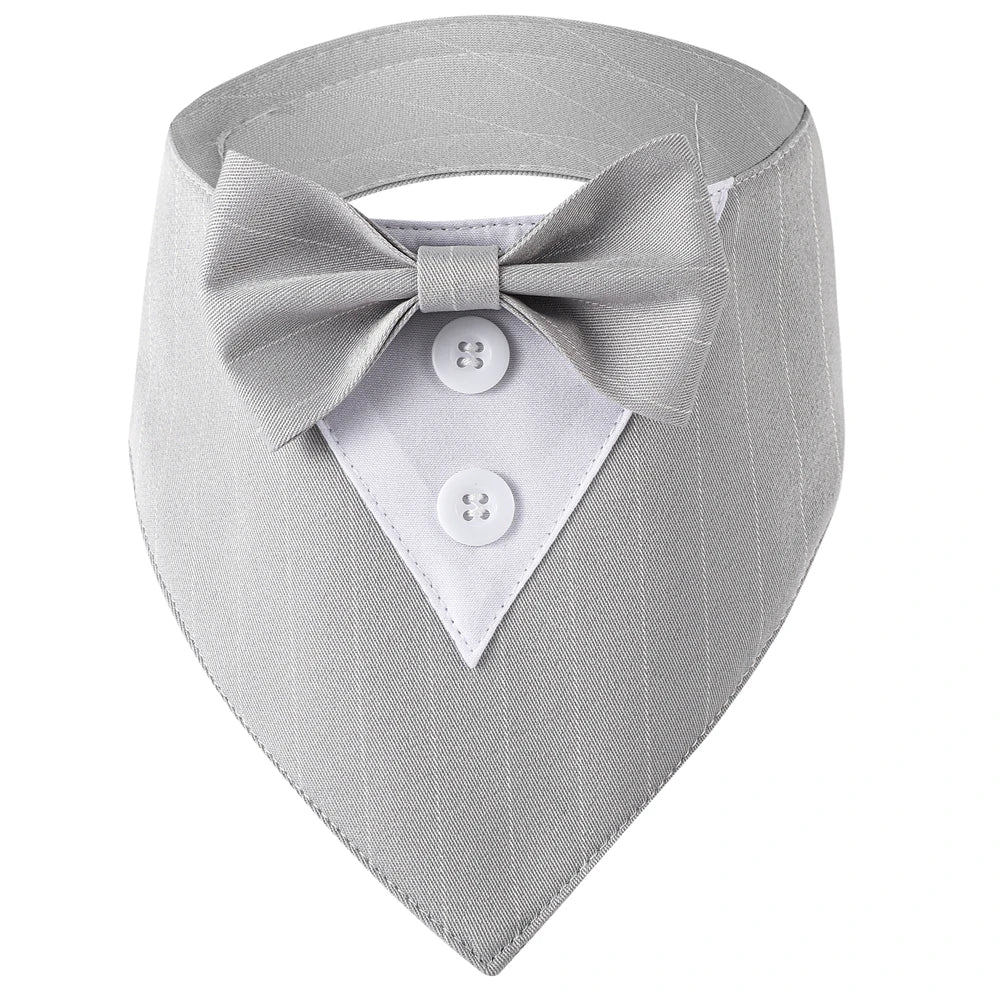 DapperPaw Formal Bandana
