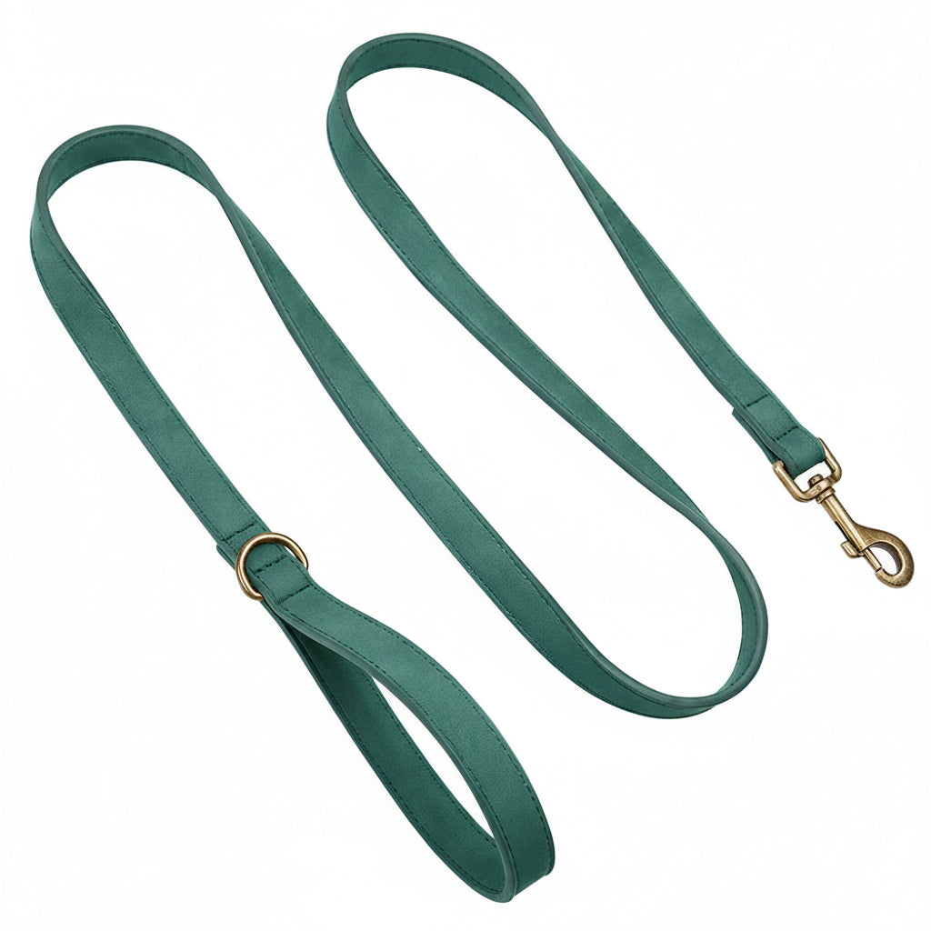 The Everyday Leather Lead