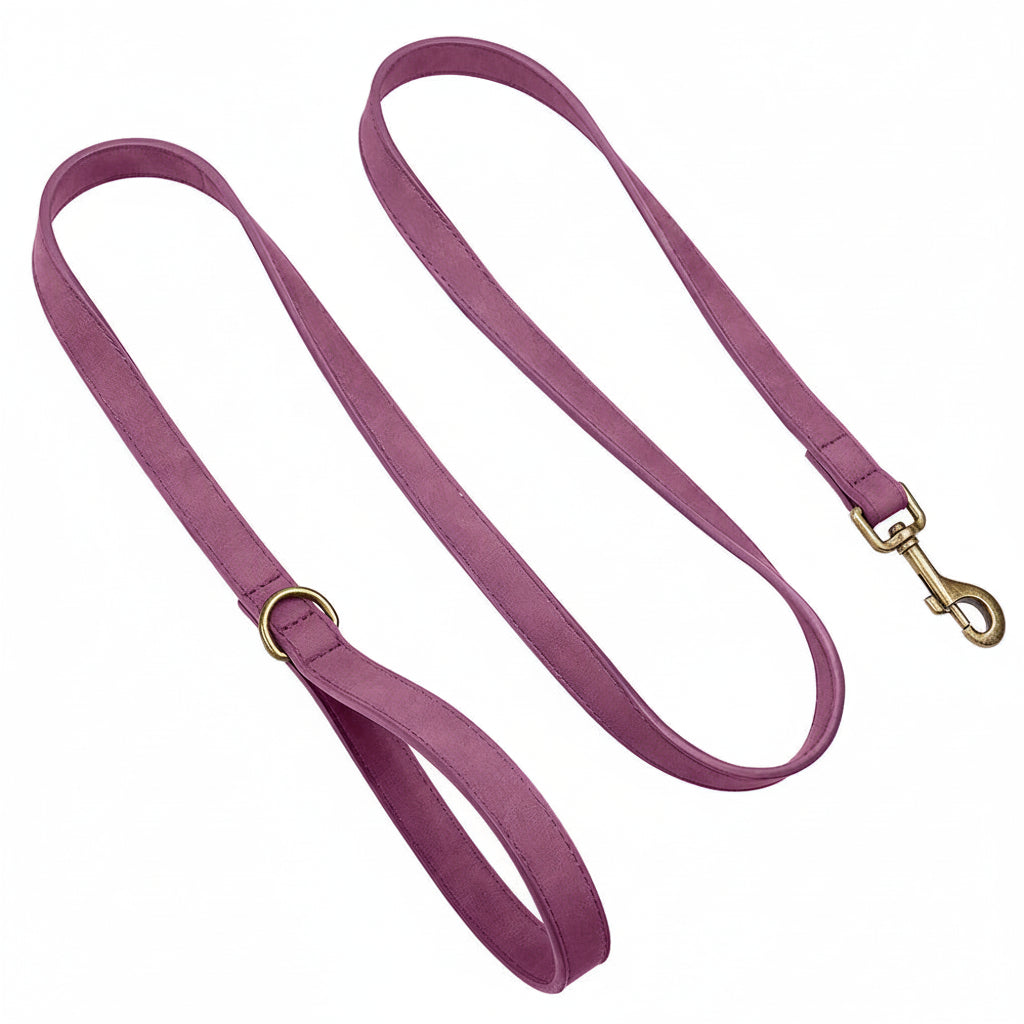 The Everyday Leather Lead