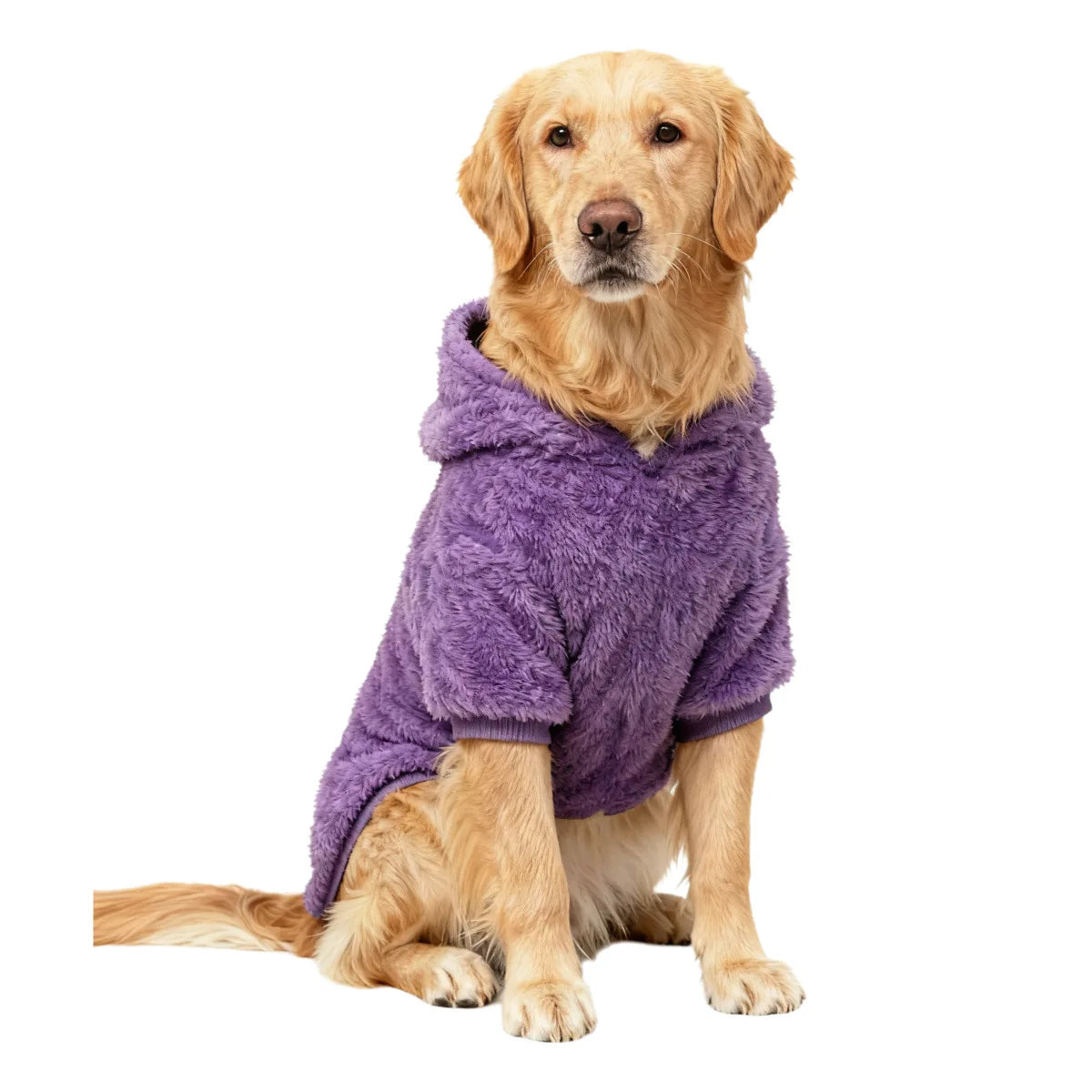 TrailPaws Winter Hoodie