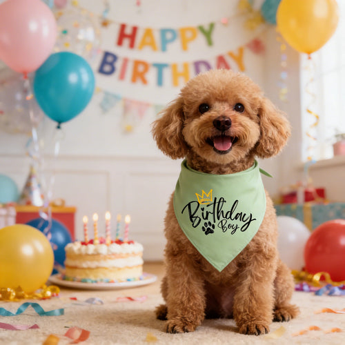 Birthday Bandana