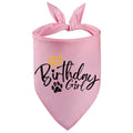 Birthday Bandana