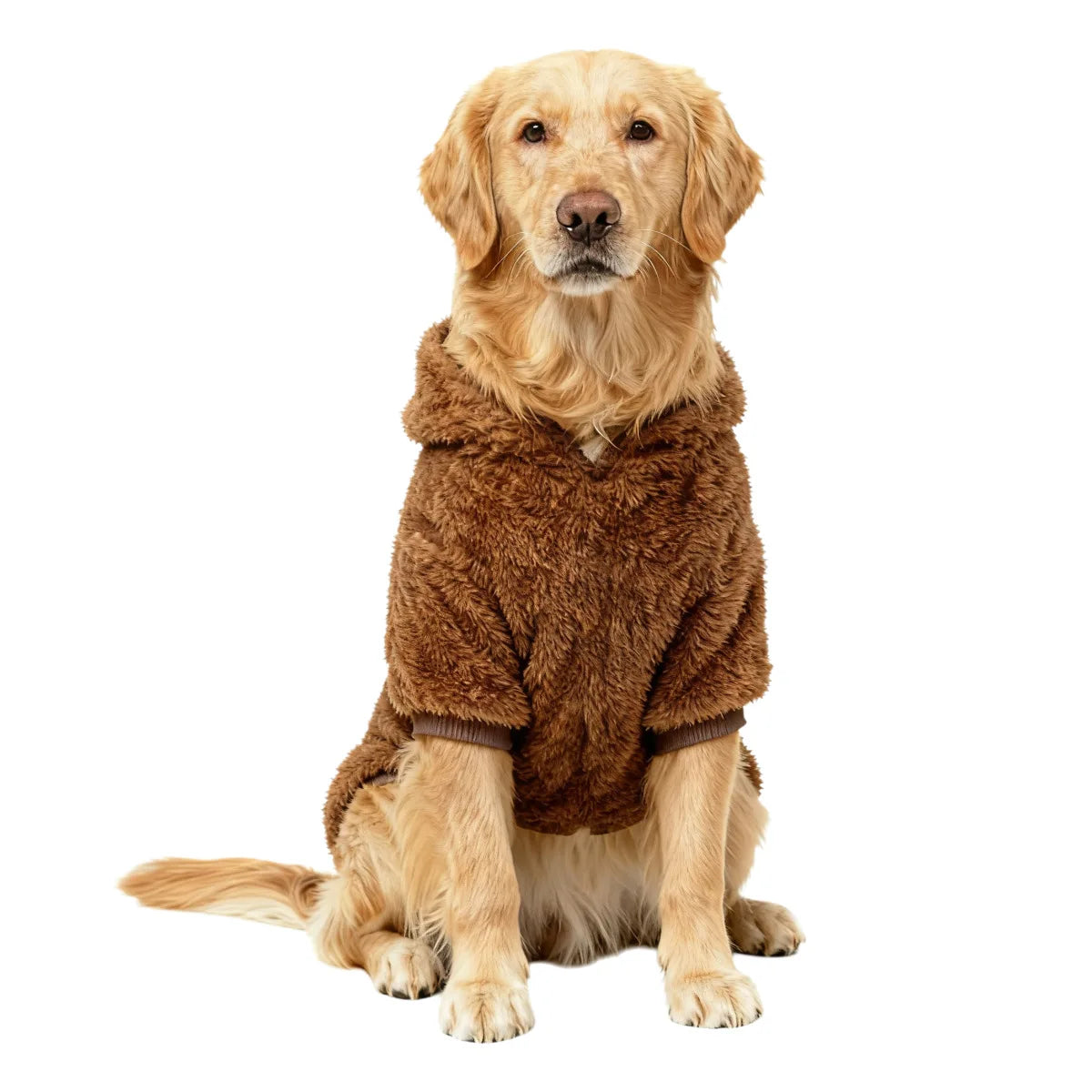 TrailPaws Winter Hoodie