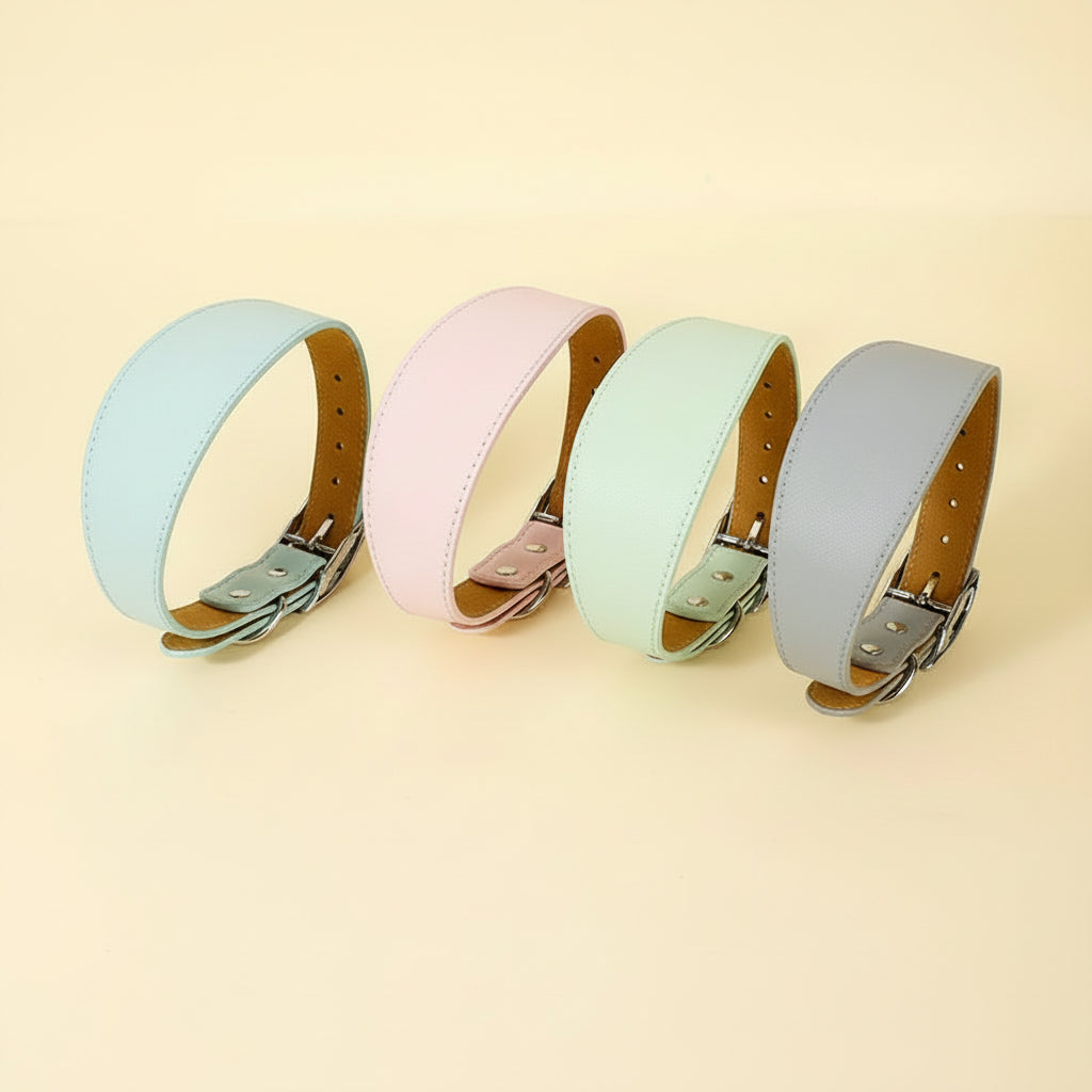 The Everyday Collar