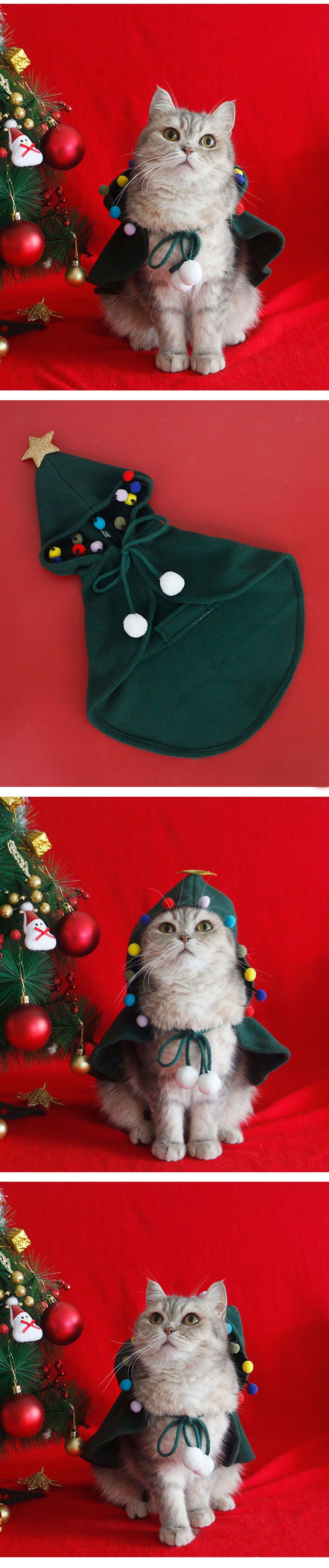 North Pole Cape Collection