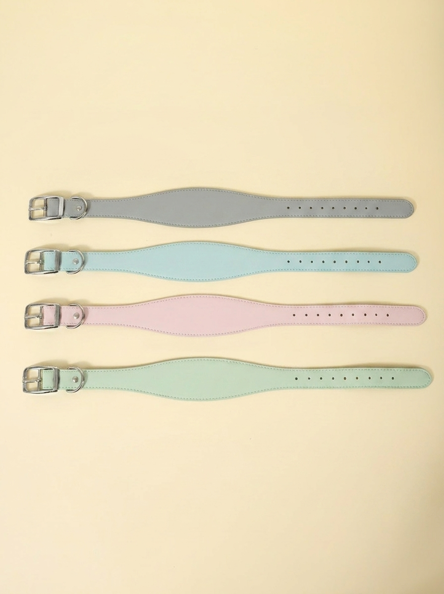 The Everyday Collar